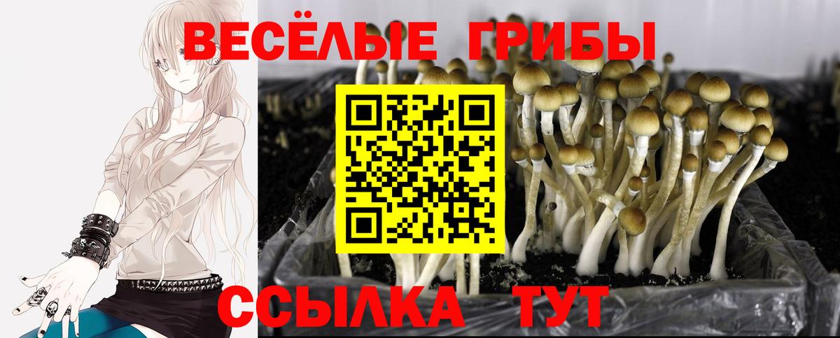 Галлюциногенные грибы мухоморы Москва